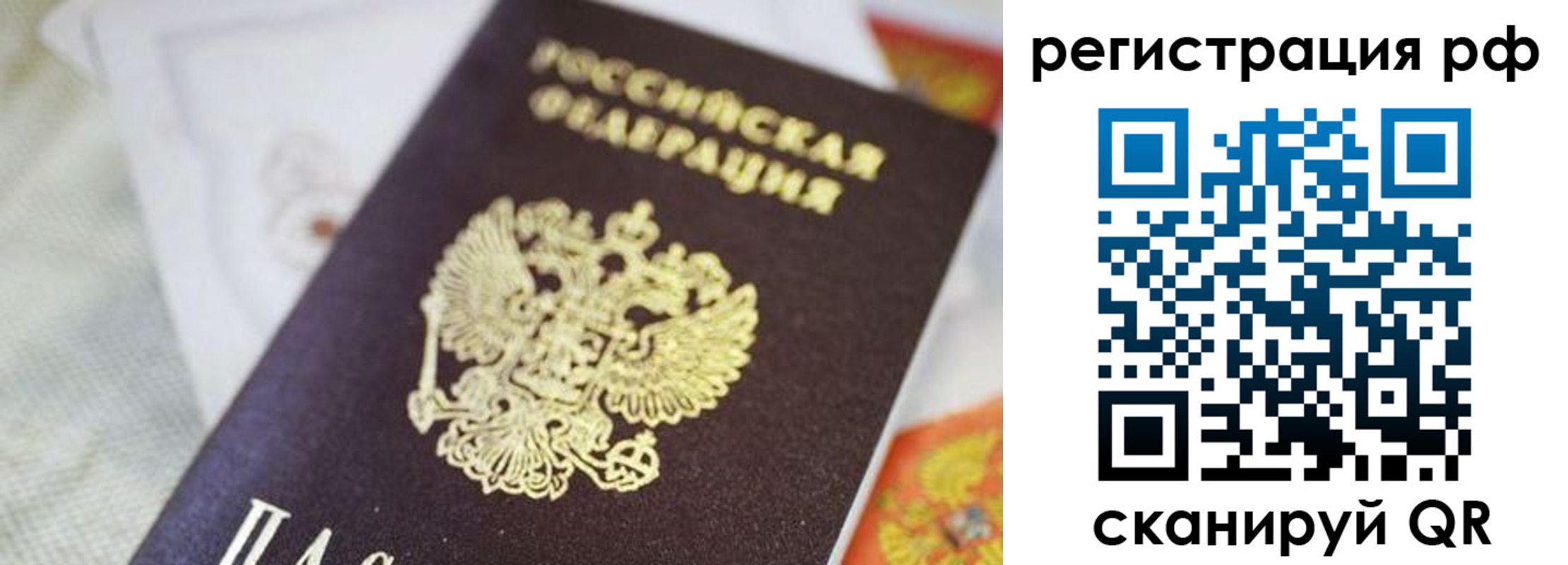 прописка гарантия в Куртамыше